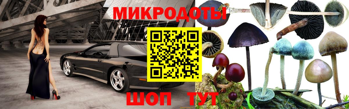 Псилоцибиновые грибы Magic Shrooms  Вход с VPN  Кубинка 